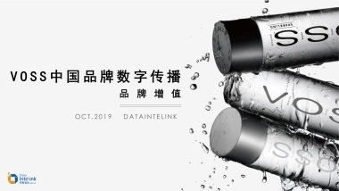 VOSS中国数字传播方案品牌增值