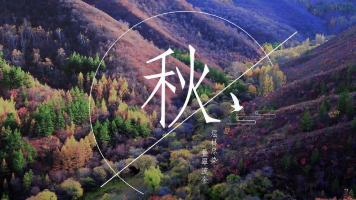 国际旅游度假区旅游资源推介方案_第9页