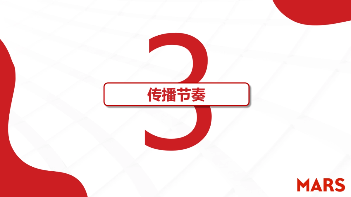 玛氏宠物粮CNY站内传播方案_第7页