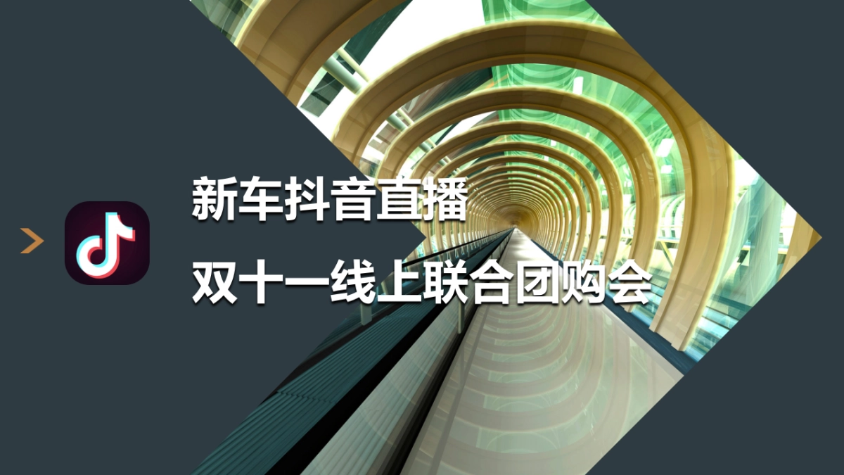 汽车新车线上直播联合团购会执行方案_第1页