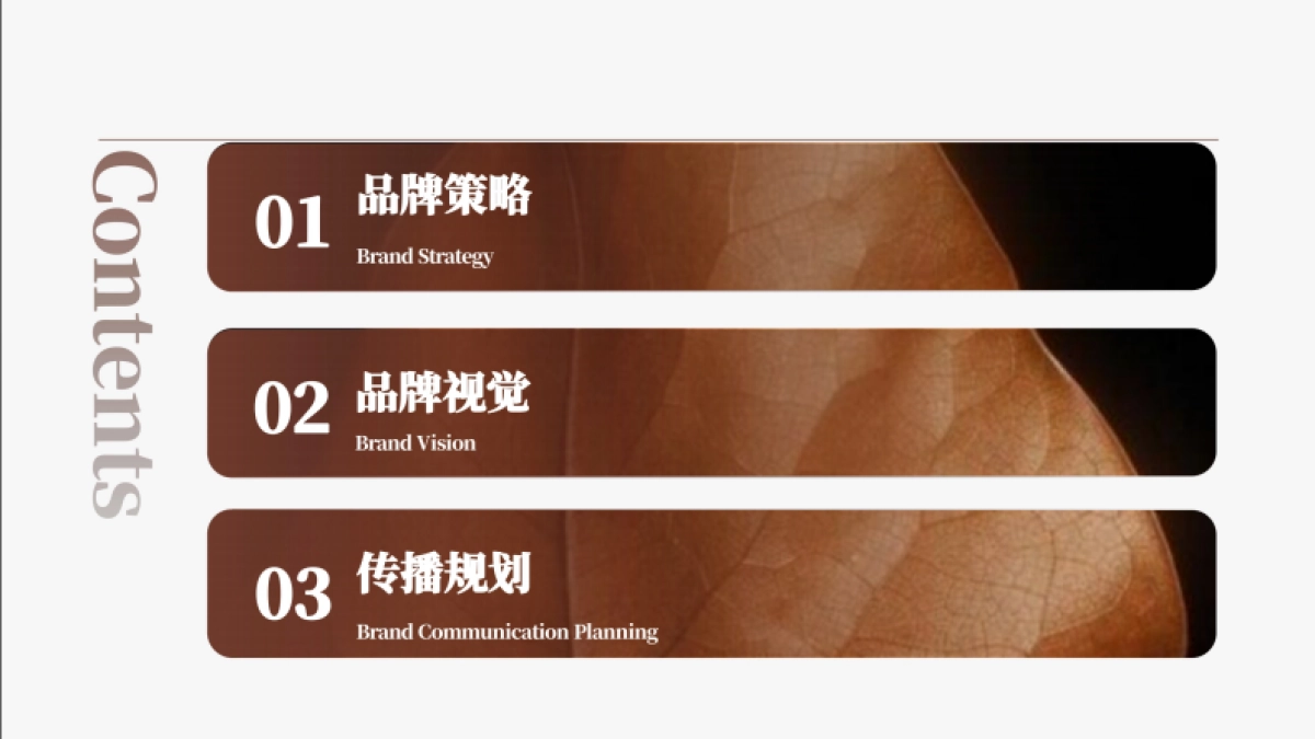 2023欢颜子全新子品牌床垫品牌打造全案_第2页