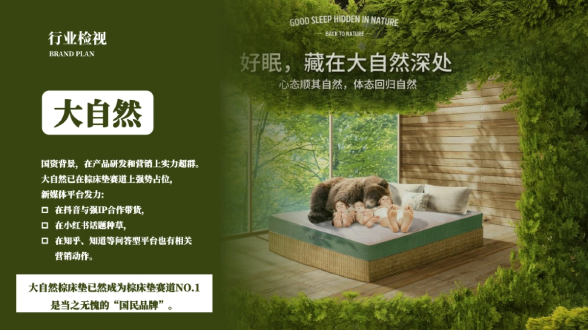 2023欢颜子全新子品牌床垫品牌打造全案_第3页