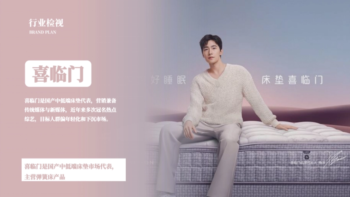 2023欢颜子全新子品牌床垫品牌打造全案_第5页