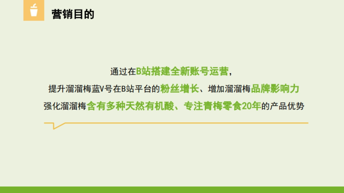 B站溜溜梅代运营推广方案_第4页