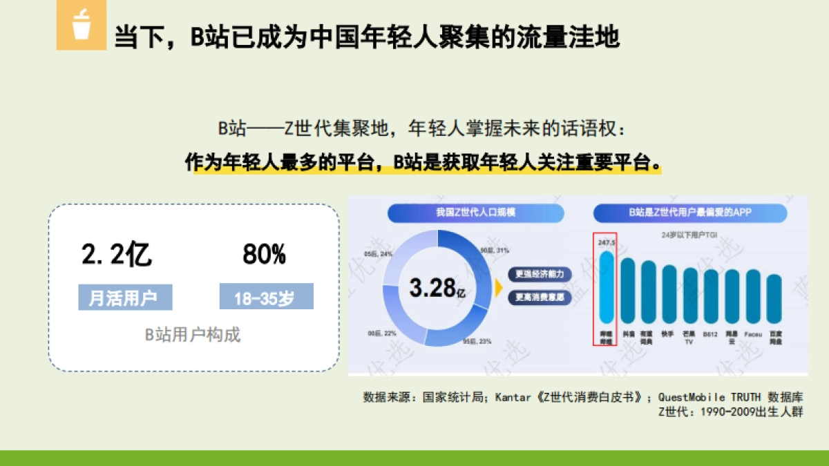 B站溜溜梅代运营推广方案_第8页