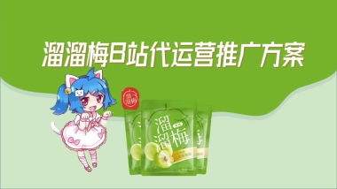 B站溜溜梅代运营推广方案