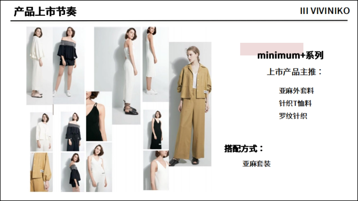 III VIVINIKO市场调研_第10页