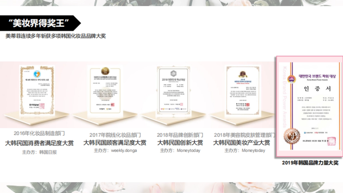 美蒂菲欢聚日创意营销方案_第5页