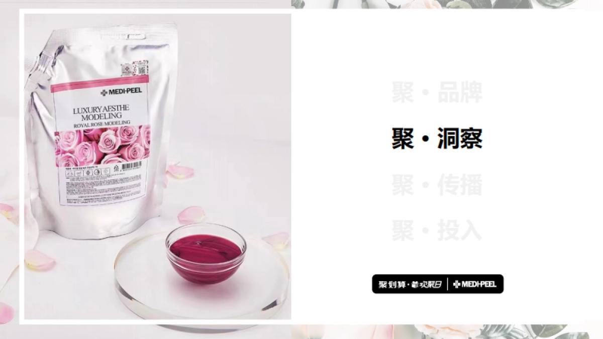 美蒂菲欢聚日创意营销方案_第9页