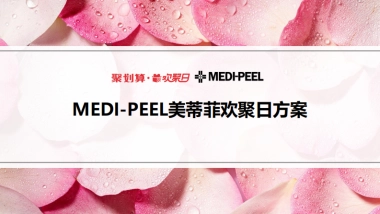 美蒂菲欢聚日创意营销方案