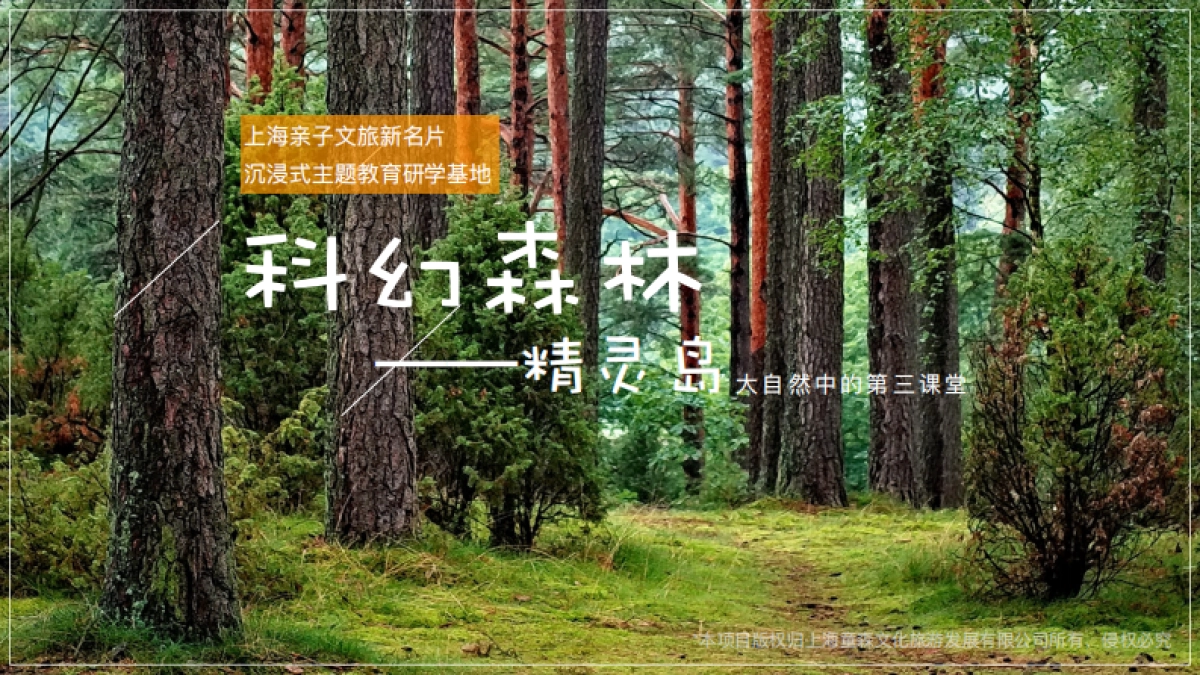 品牌介绍丨沉浸式亲自研学项目上海科幻森林精灵岛_第1页