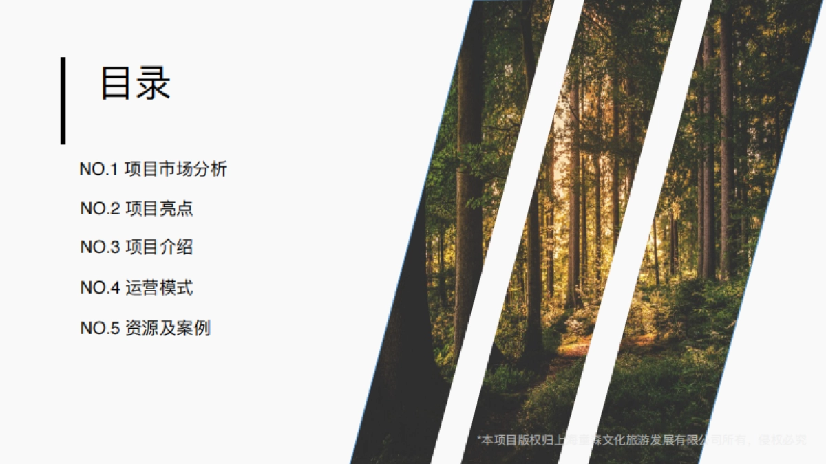 品牌介绍丨沉浸式亲自研学项目上海科幻森林精灵岛_第3页