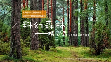 品牌介绍丨沉浸式亲自研学项目上海科幻森林精灵岛