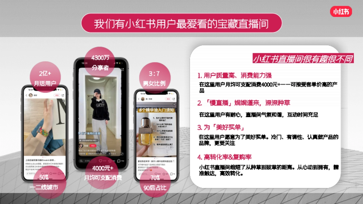 双11真会买买手店-小红书电商内循环IP招商方案_第2页