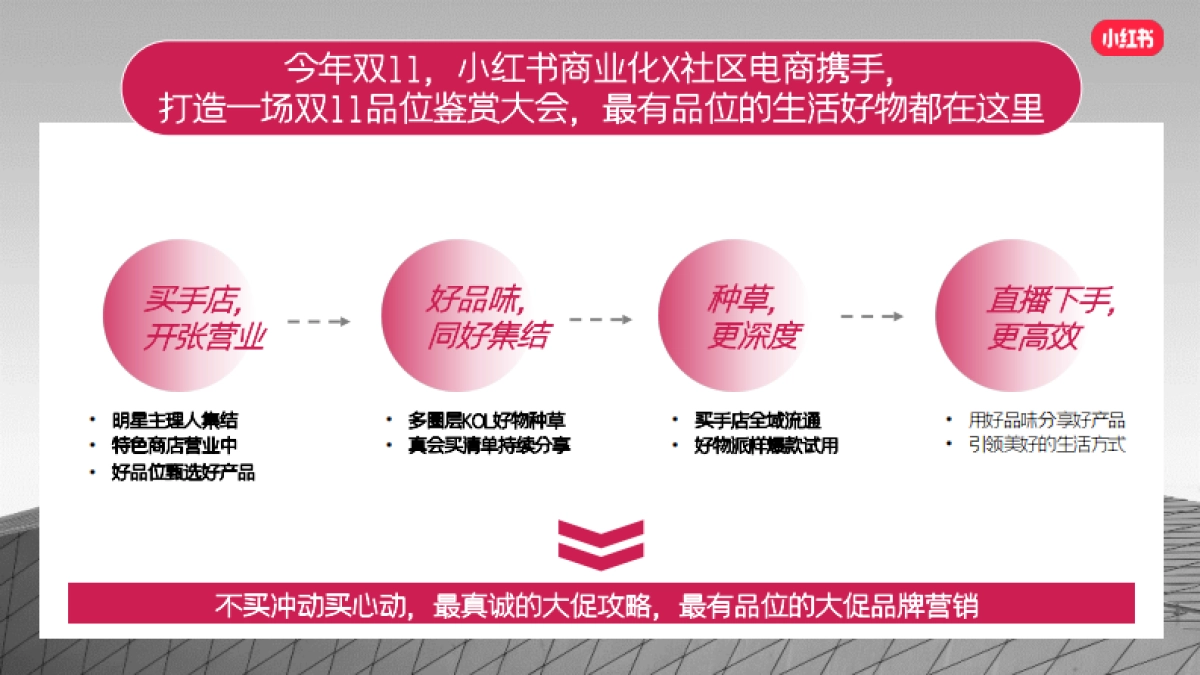 双11真会买买手店-小红书电商内循环IP招商方案_第4页