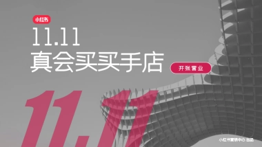 双11真会买买手店-小红书电商内循环IP招商方案