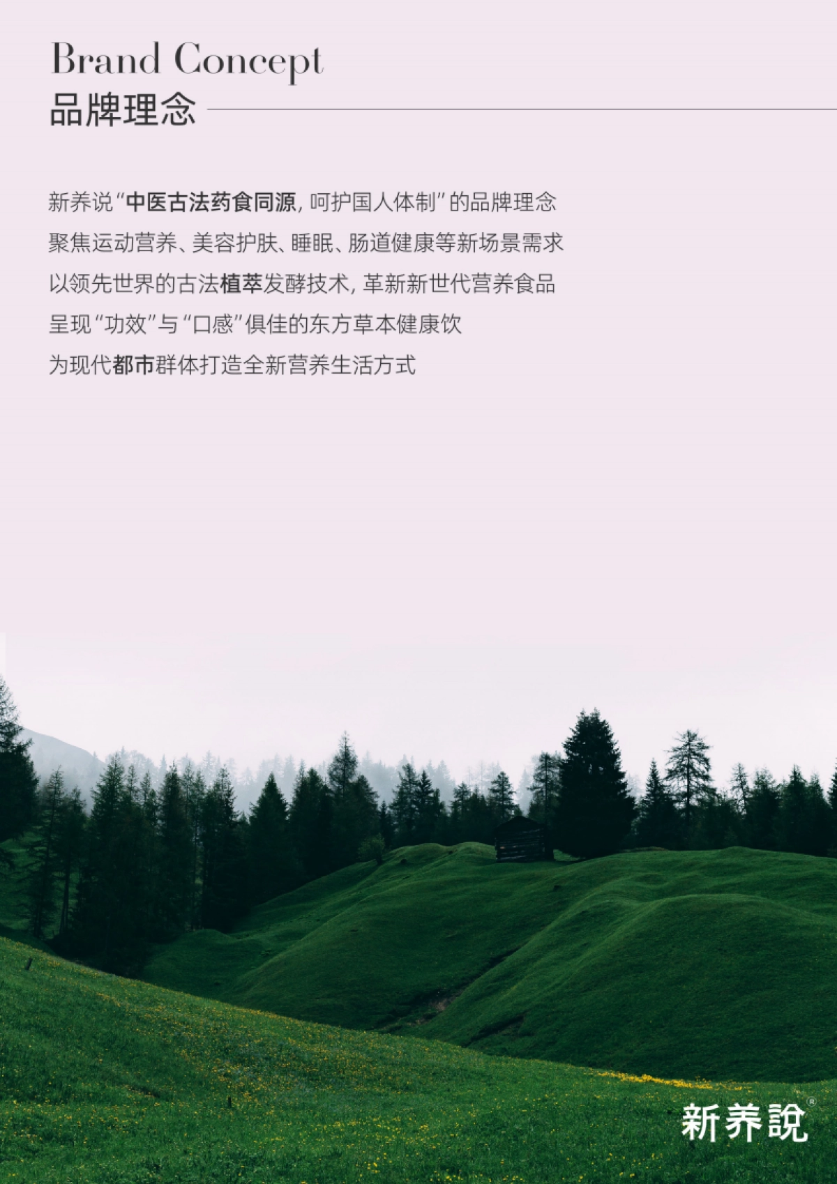 新养说品牌书_第3页