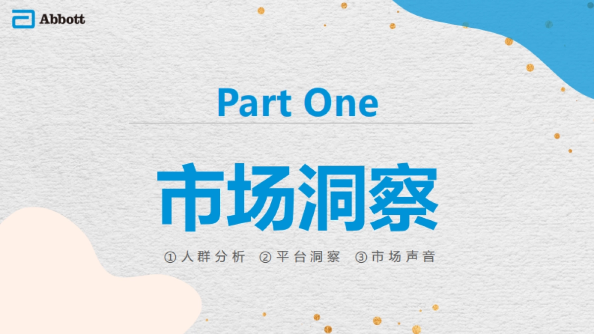 雅培跨境全网内容投放需求_第3页