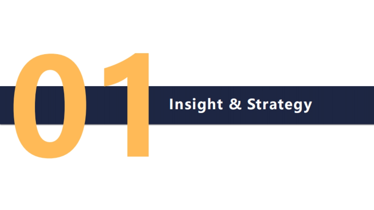 针织女鞋视觉策划方案—海外市场_第5页