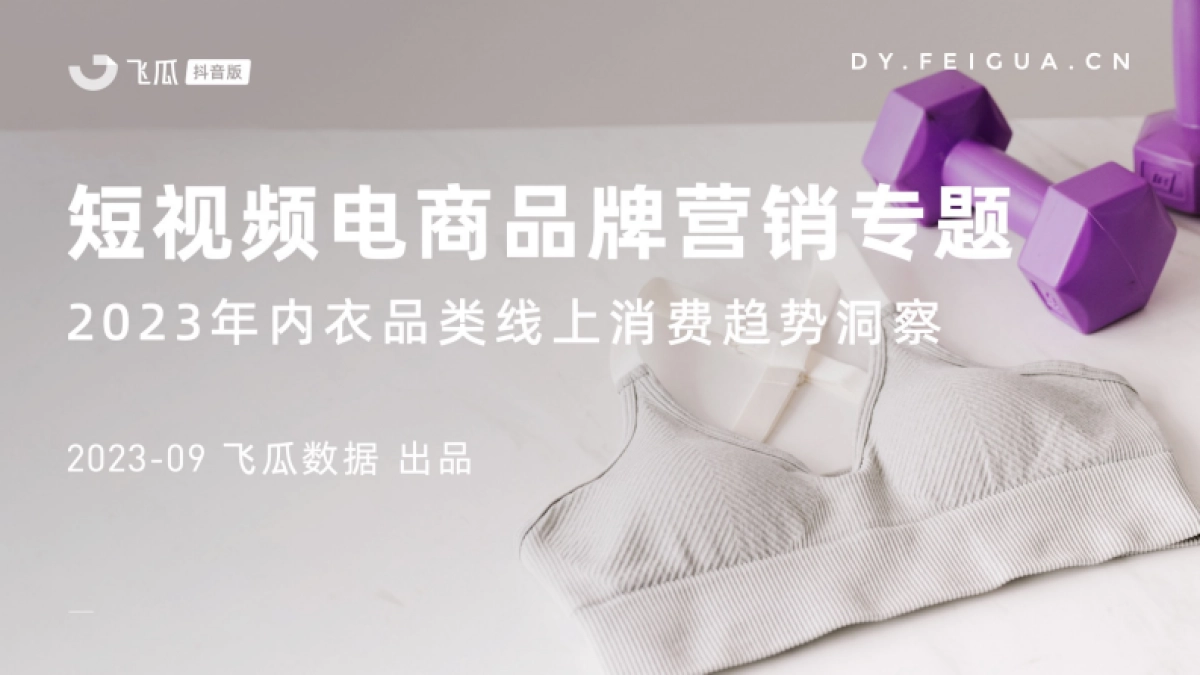 2023年内衣品类线上消费趋势洞察-飞瓜数据_第1页