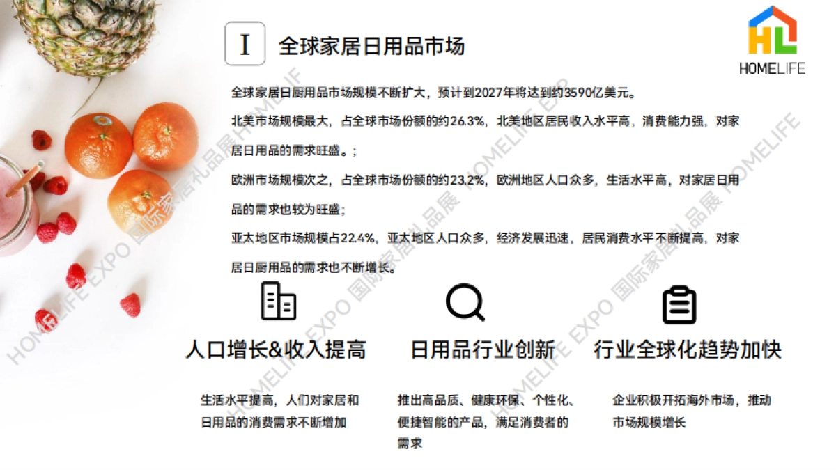 HOMELIFE：2023家居日用品市场洞察报告_第4页