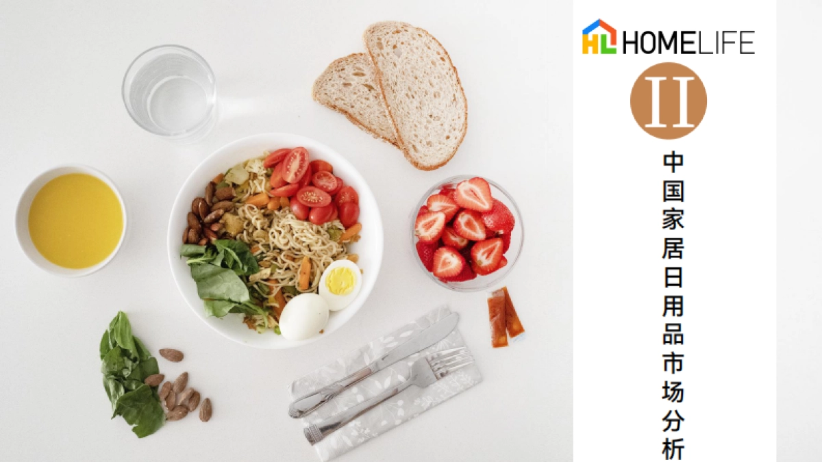HOMELIFE：2023家居日用品市场洞察报告_第9页
