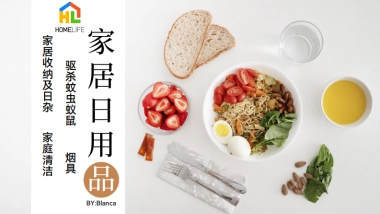 HOMELIFE：2023家居日用品市场洞察报告