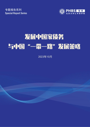 北大汇丰智库-发展中国家债务与中国“一带一路”发展策略