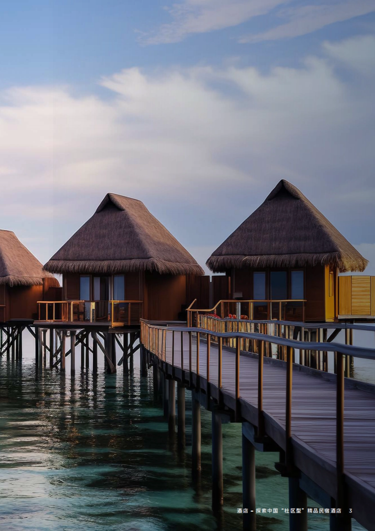 戴德梁行:2023中国酒店市场-探索中国“社区型”精品民宿酒店研究报告_第3页