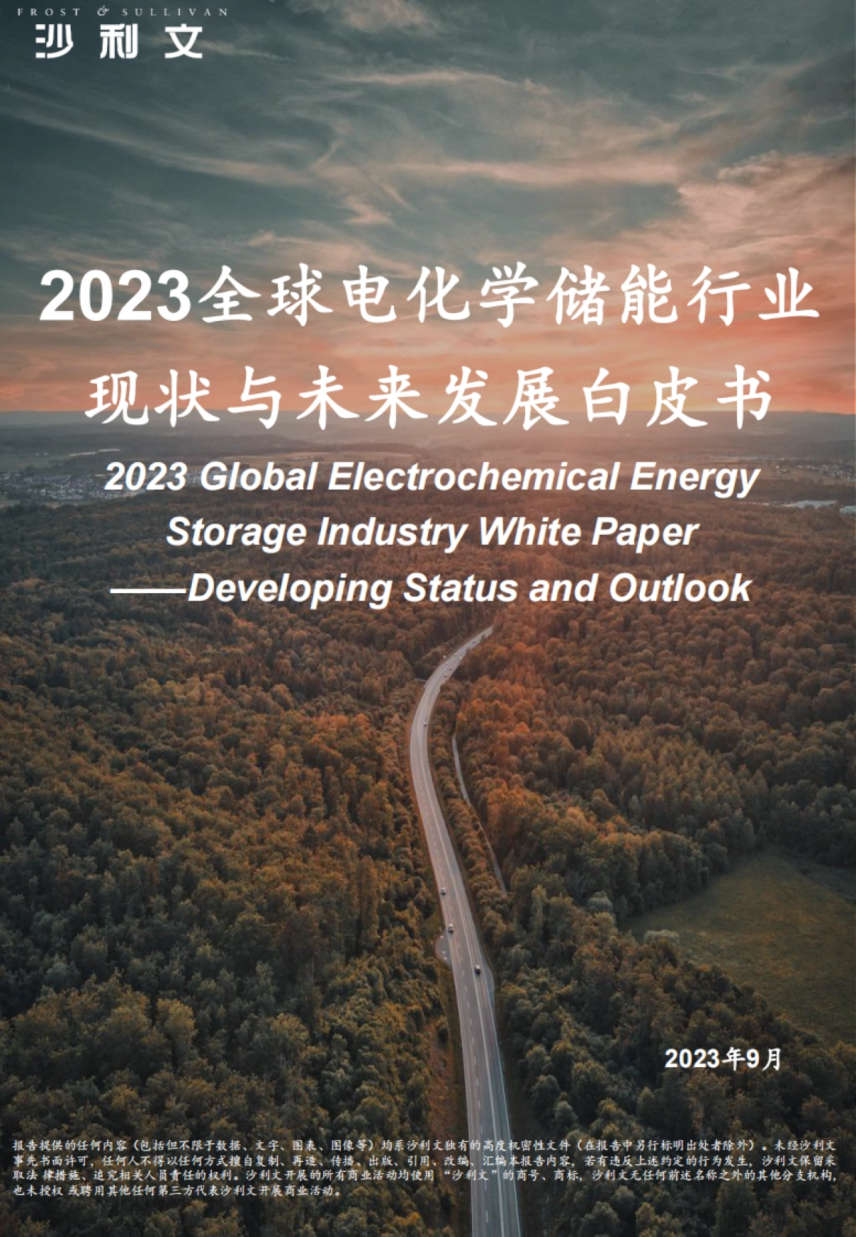 沙利文：2023全球电化学储能行业现状与未来发展白皮书_第1页