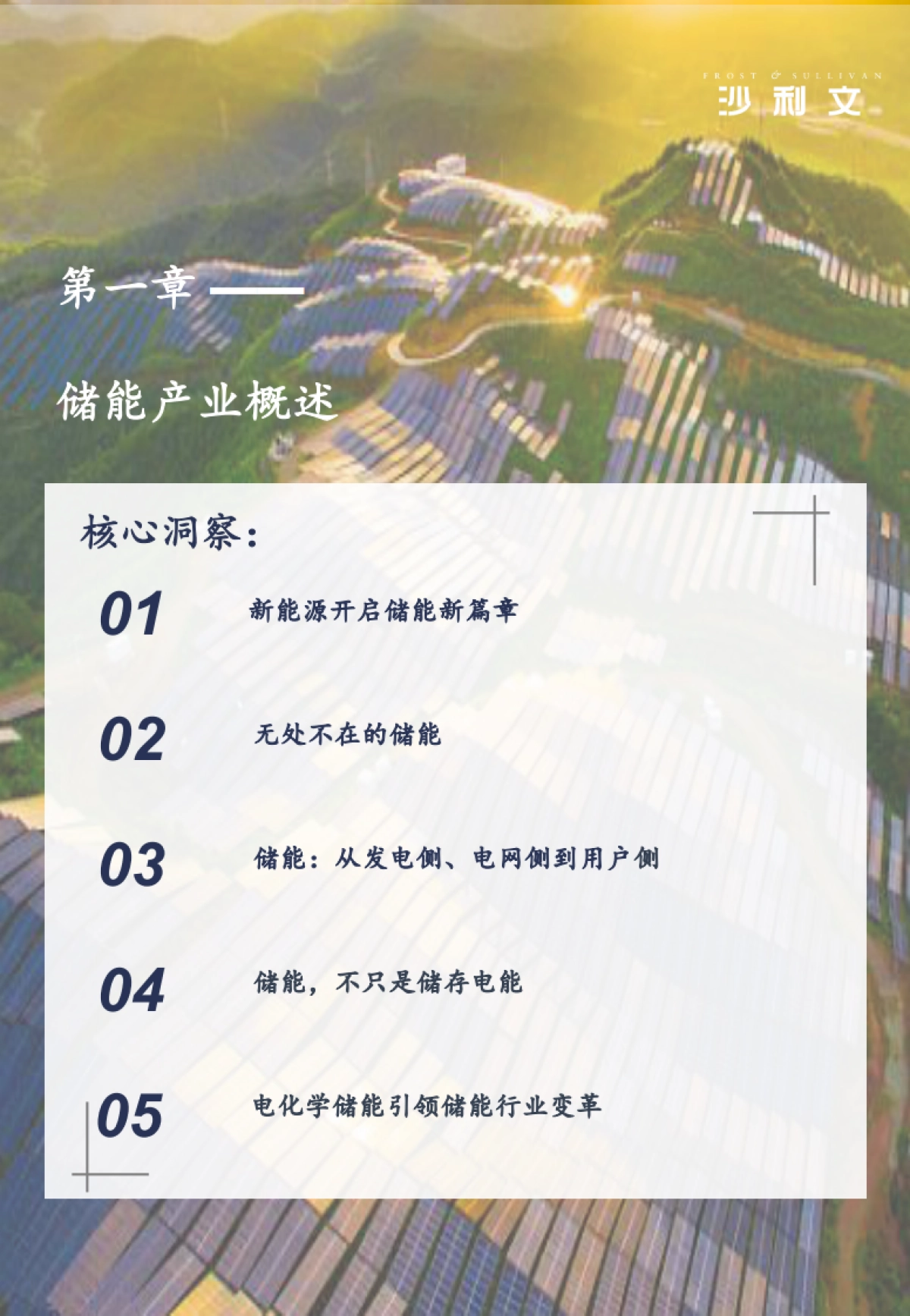 沙利文：2023全球电化学储能行业现状与未来发展白皮书_第4页