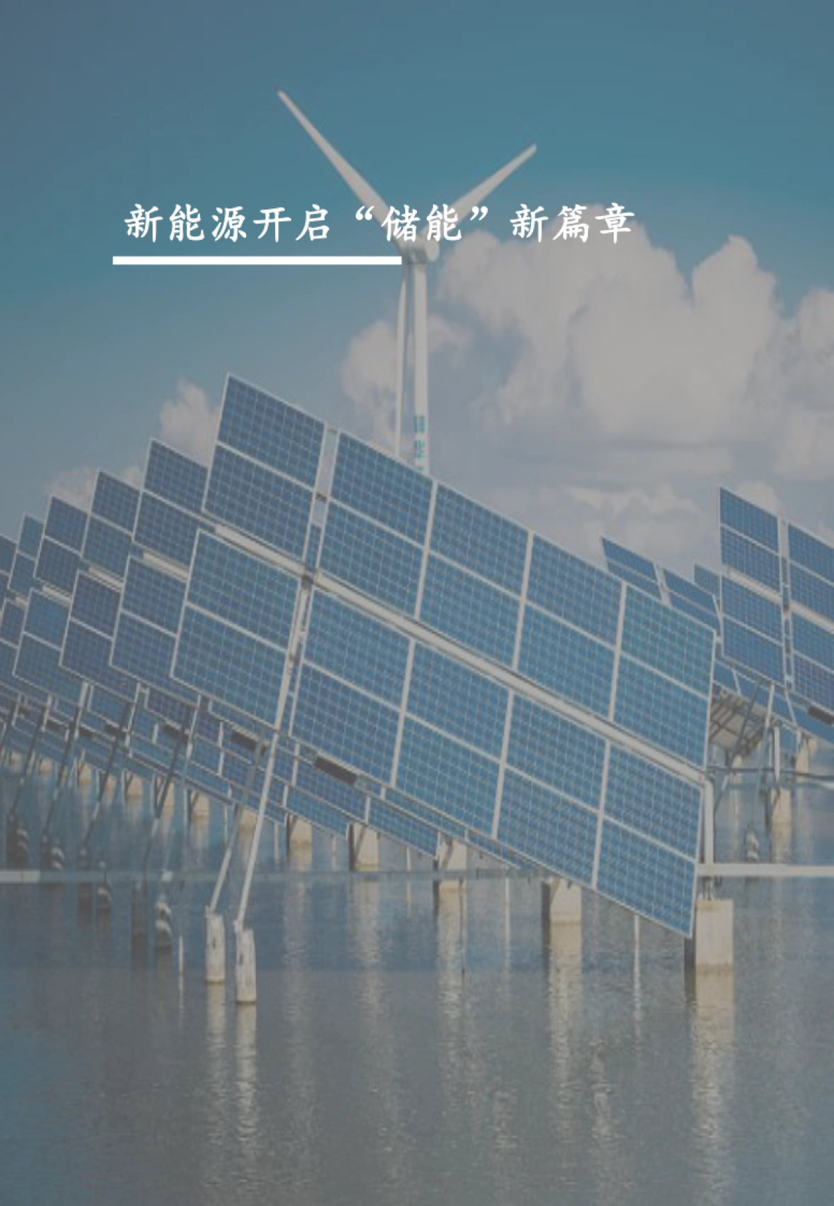 沙利文：2023全球电化学储能行业现状与未来发展白皮书_第5页