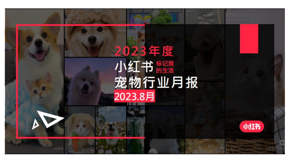 小红书：小红书2023年8月宠物行业月报_第1页