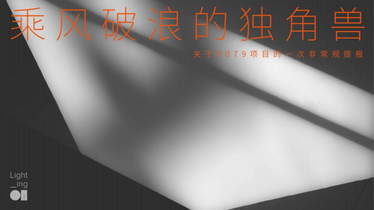 2022景瑞宸光美学住区项目提报方案_第2页