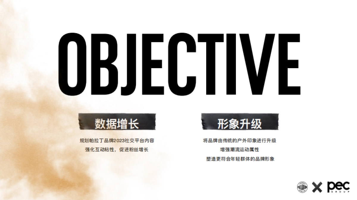 2023帕拉丁全年社交媒体平台运营_第2页