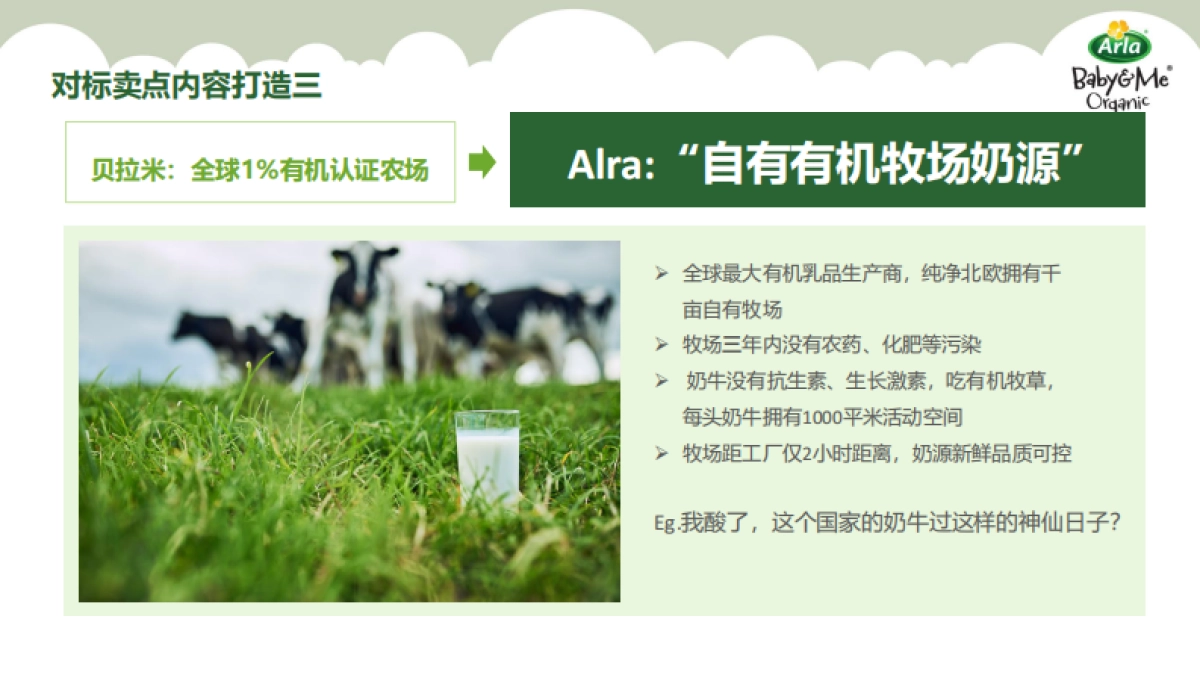 Arla跨境天猫国际旗舰店开业活动方案_第10页