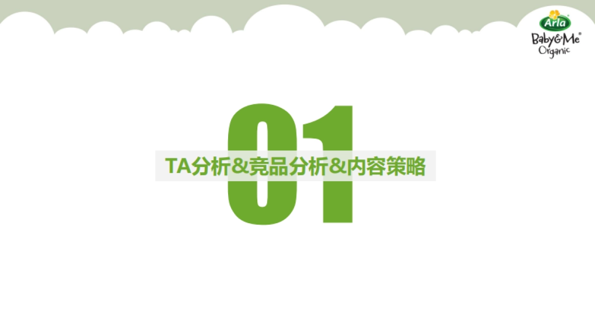 Arla跨境天猫国际旗舰店开业活动方案_第2页