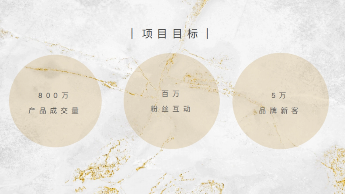 FORVIL温莎森林天猫全明星传播方案_第2页