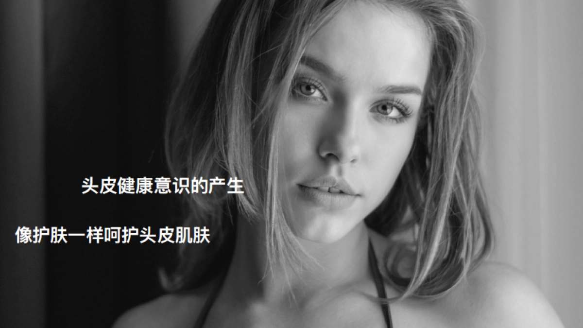 FORVIL温莎森林天猫全明星传播方案_第6页