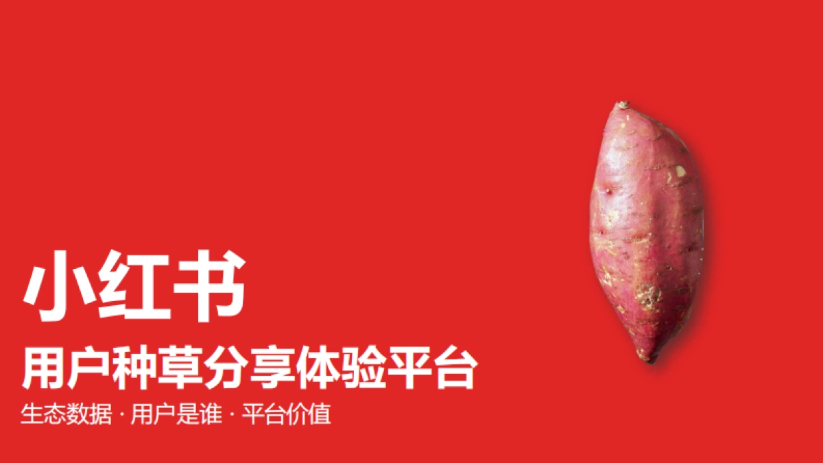 VOV&肌尔美&齿可嘉小红书传播策略Demo_第2页