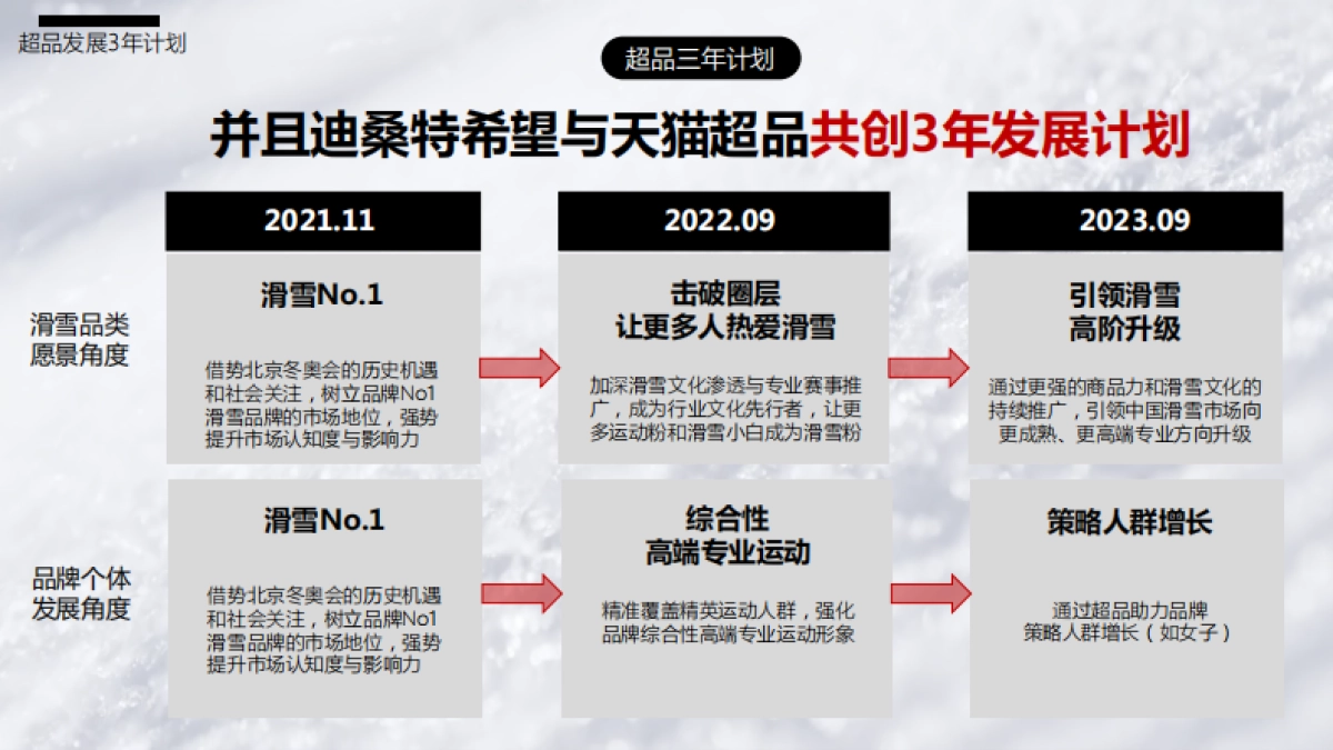 迪桑特超级品牌日方案_第6页