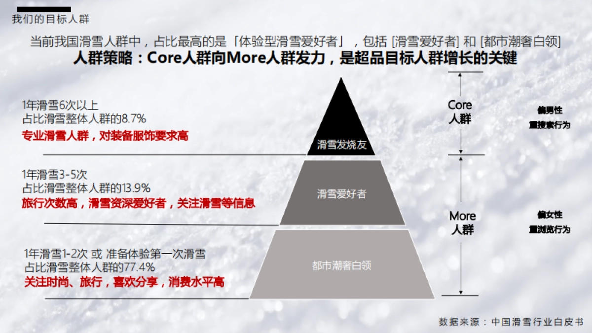 迪桑特超级品牌日方案_第7页