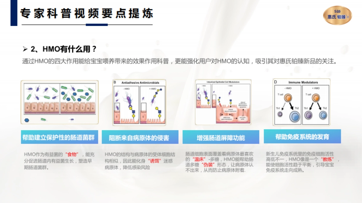 惠氏HMO新品内容投放方案_第6页
