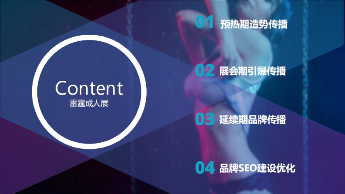 雷霆成人展整合营销传播方案_第10页