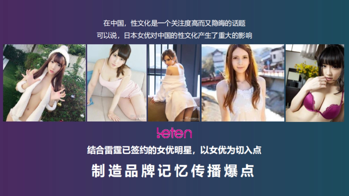 雷霆成人展整合营销传播方案_第5页