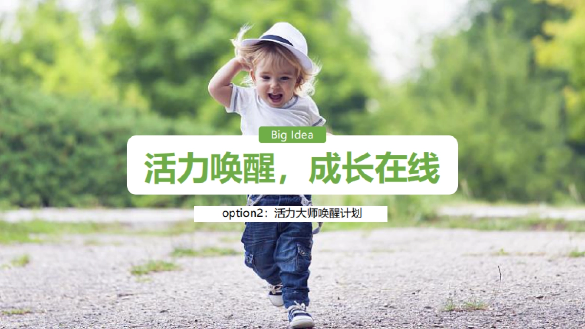 诺优能聚划算大牌日整合营销方案_第8页