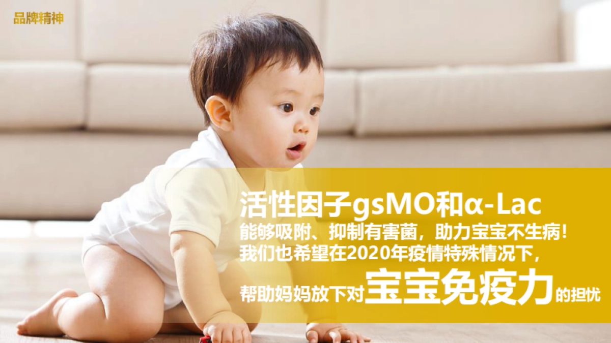 启赋天猫超级品牌日创意营销方案_第5页