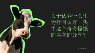 认养一头牛故事链方法论分享