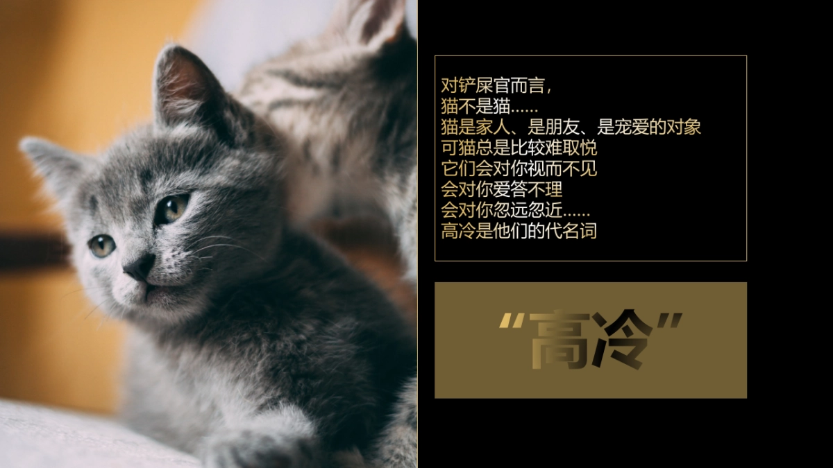 希宝猫粮超级品类日创意营销方案_第10页