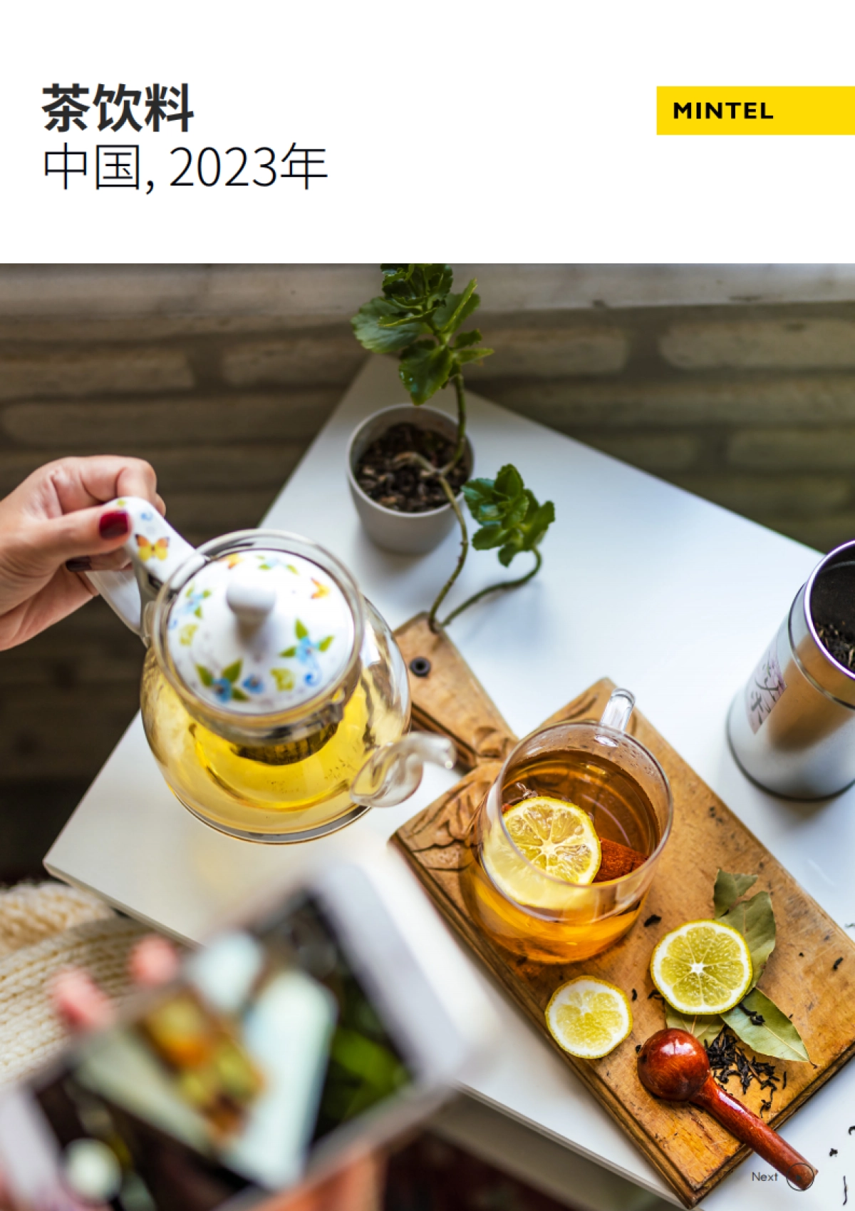 2023年中国茶饮料_第1页